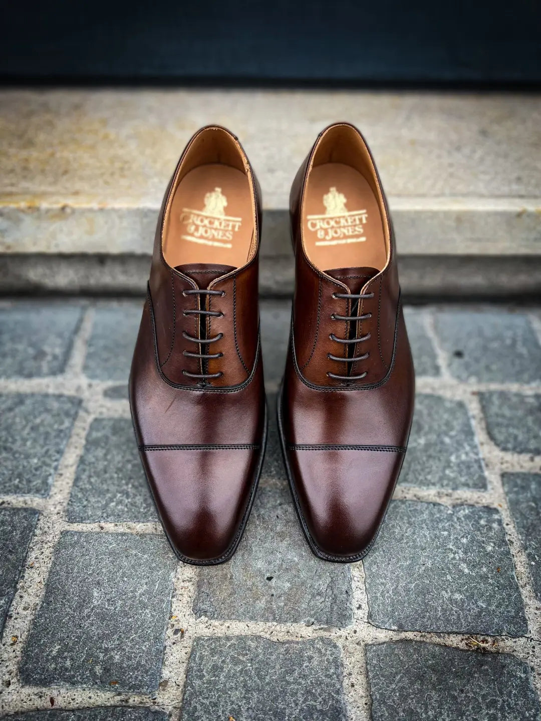 Crockett & Jones Hallam Dark Brown Cap Toe Oxford in calf leather, view 5