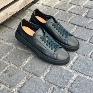SANTONI Dark green DBS